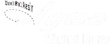 Ayaz Sürücü Kursu Logo